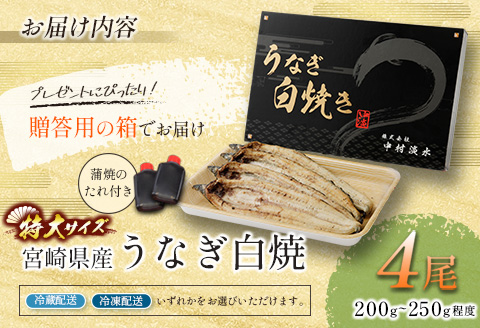 ◇特大！うなぎ白焼き4尾 合計800g以上 宮崎県産鰻 玄人の一品 熨斗 ギフト対応・配送日指定可【E206】