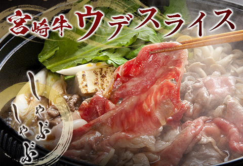 鰻楽 国産 うなぎ 1尾 & 宮崎牛 ロースステーキ 1枚 250g ＆ 宮崎牛 ウデ スライス 500g 土用 丑の日 BBQ ごちそう 牛肉【C128-2510-90】