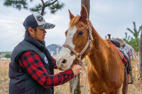 西日本トップクラスの快適さ！潮風感じる乗馬体験(最大4名)