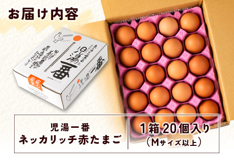 ＜児湯養鶏自慢の卵＞ネッカリッチ赤たまご「児湯一番」20個 1箱【A14】