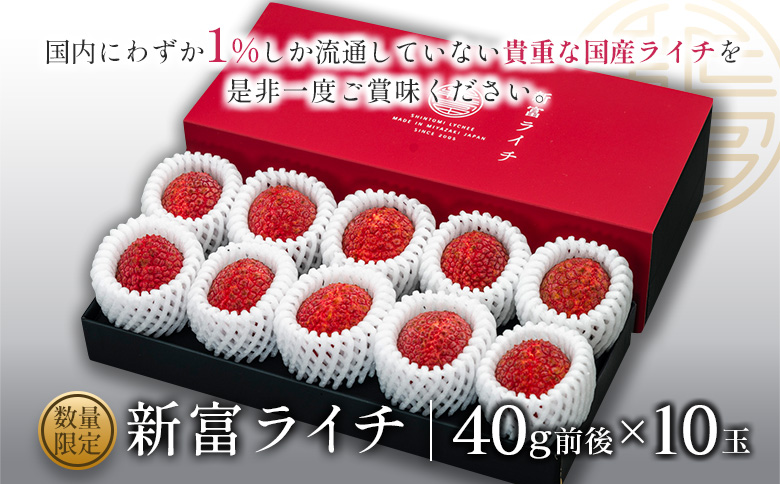［2026年発送］先行予約 希少！国産＜新富ライチ＞40g前後×10玉 国産 ブランド フルーツ 果物 贈答品【B120-26】