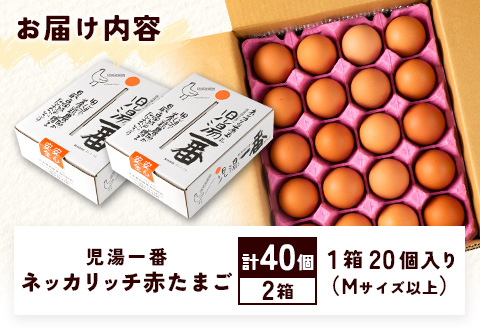 ＜児湯養鶏自慢の卵＞ネッカリッチ赤たまご「児湯一番」計40個（20個入×2箱）【B19】