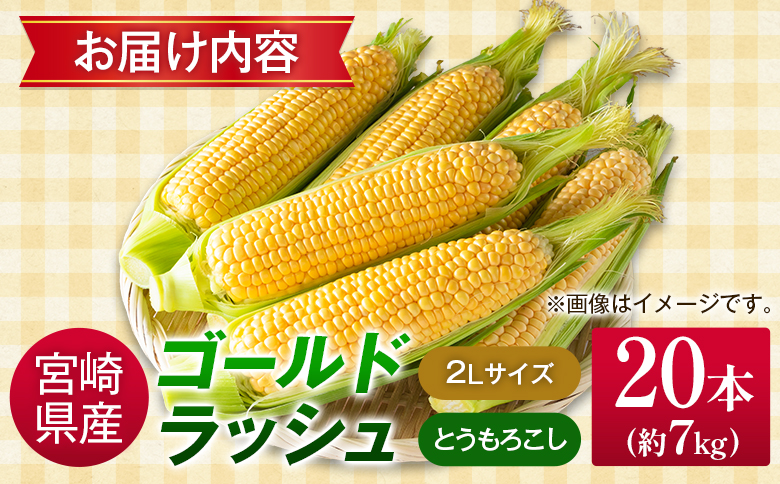 宮崎県産 朝採れ ゴールドラッシュ 約7kg（2Lサイズ×20本） ※2026年5月中旬発送開始 とうもろこし 旬 野菜【B426-26】