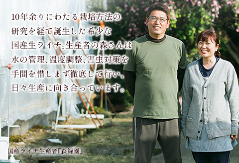 ライチゼリー 8個 フルーツゼリー ギフト 特産品 お取り寄せ 宮崎県 新富町【B453-30】