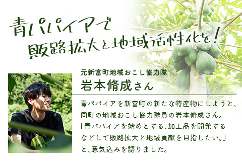 青パパイアを贅沢に使用した美容茶『パパイア果実茶』（ティーバッグ20P×2個）