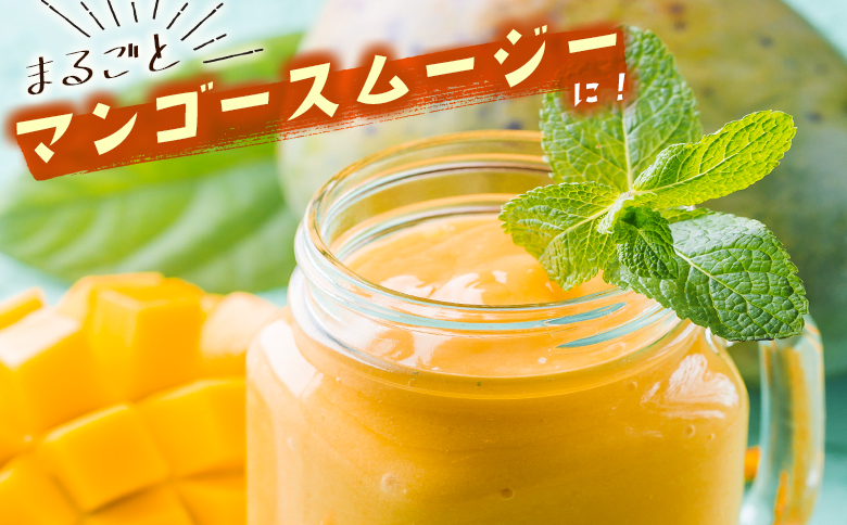 ＜数量限定＞宮崎県産 完熟マンゴーL×2玉（計620g以上）※2026年4月下旬配送開始 化粧箱入 フルーツ くだもの【B544-26】