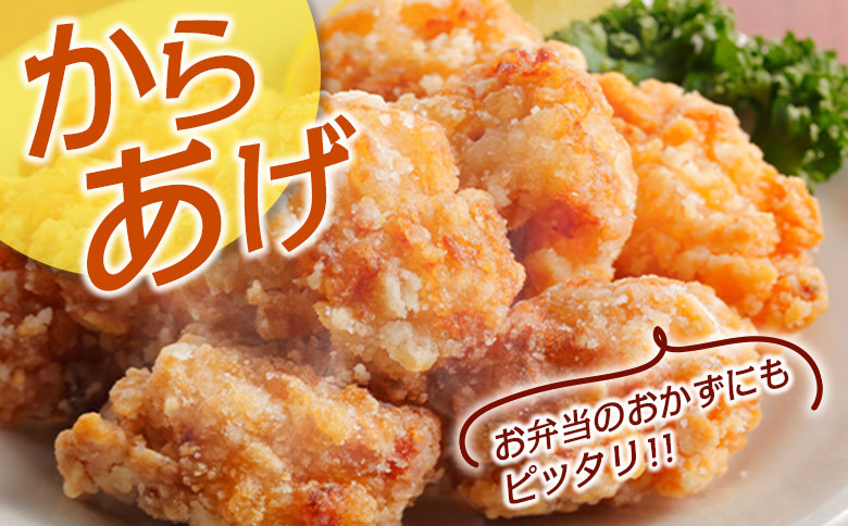 ＜最速便＞一口サイズの小分け真空パック！300g×10袋 宮崎県産 若鶏 もも肉 切身 計3kg 国産 鶏肉 冷凍【B608-2505】