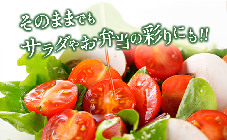 ＜期間・数量限定＞［2026年発送］くるみのトマト 計1.3kg 宮崎県新富町産 朝採れ 野菜 フレッシュ 国産【B667】