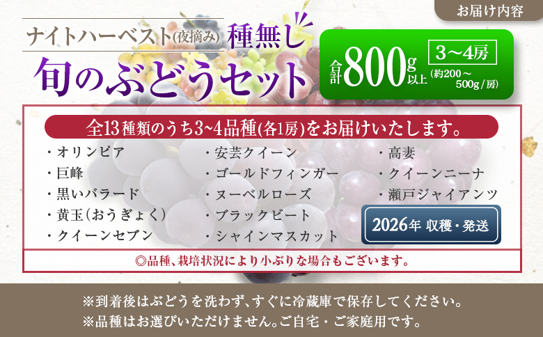 ［ご自宅・ご家庭用］ブドウ 2026年収穫・発送 ナイトハーベスト(夜摘み)『旬の種無しぶどうセット』 合計800g以上 3～4房 希少 人気 ブドウ フルーツ 果物【B668-26】