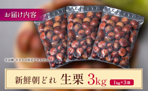＜2026年出荷!!＞国産 新鮮朝どれ（生栗）3kg お取り寄せ 産地直送 宝珠栗 数量限定 宮崎県新富町産 先行予約【B670-26】
