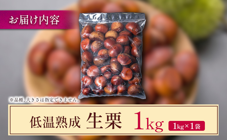 ＜2026年出荷!!＞国産 低温熟成栗（生栗）1kg 熟成宝珠栗 産地直送 宮崎県新富町産 先行予約【B671-26】