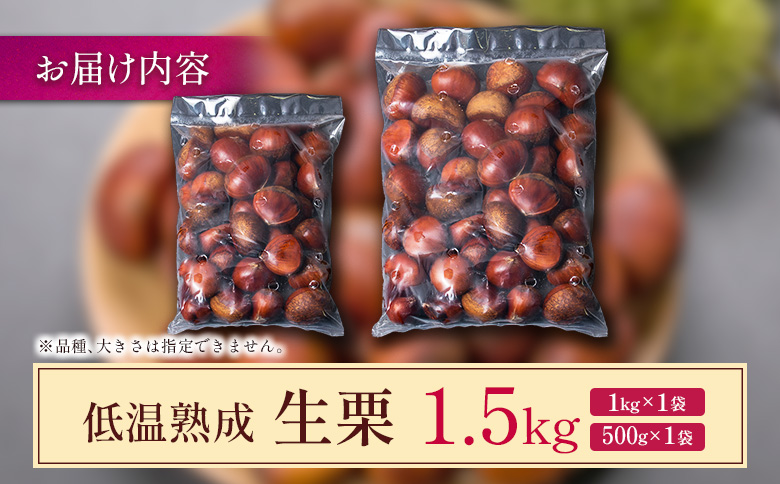 ＜2026年出荷!!＞国産 低温熟成栗（生栗）1.5kg 熟成宝珠栗 産地直送 宮崎県新富町産 先行予約【B672-26】