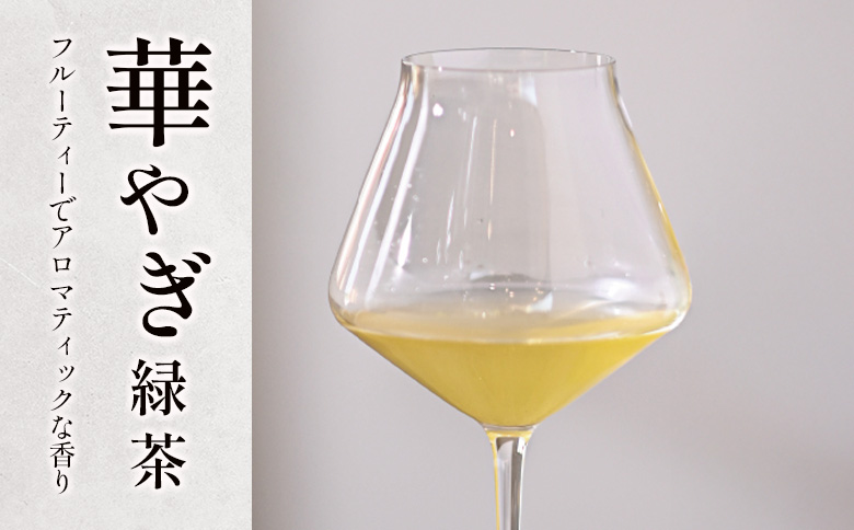 ＜有機栽培＞カラダうるおう自然派水出し茶 茶畑めぐり水出し冷茶 3種セット 国産 日本茶 飲み比べ【B681】