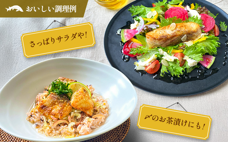 チョウザメの切り身70g×8パックセット 魚介 真空パック カット済み【B687】