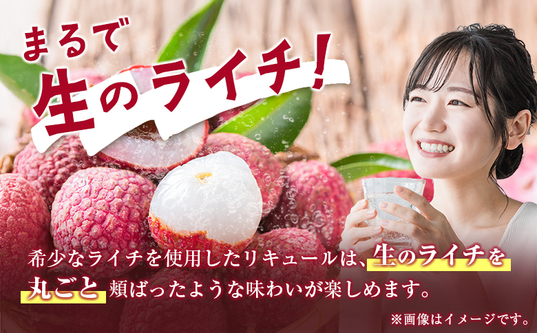 寶 和リキュール「産地めぐり」宮崎ライチ 720ml×2本 お酒 果実酒 贈答 宝酒造【B699】 720ml×2本