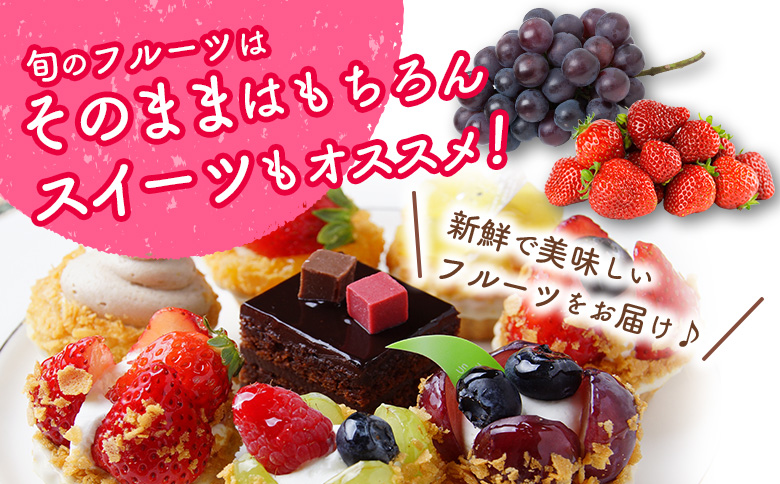 産地直送！旬の野菜・フルーツ＆野菜加工品 セット お試し 1回お届け おまかせ 詰合せ 宮崎県新富町産【C431】