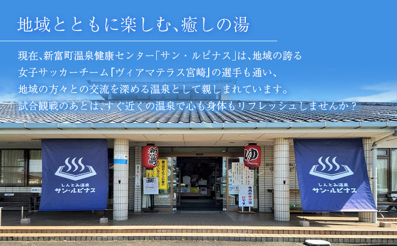 源泉掛け流し 天然温泉［サン・ルピナス］温泉チケット11枚 新富町温泉健康センター 入浴券 無期限 温泉利用券【C454】