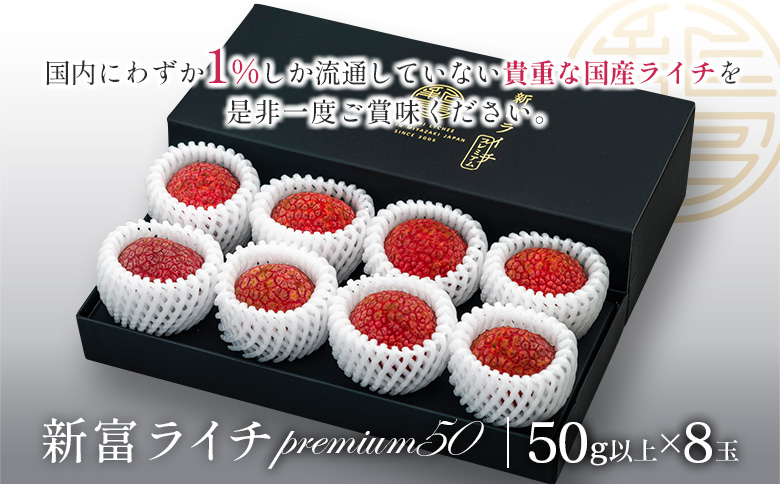 ［2026年発送］先行予約 希少！国産＜新富ライチpremium50＞50g以上×8玉 国産 ブランド フルーツ 果物 贈答品【C52-26】