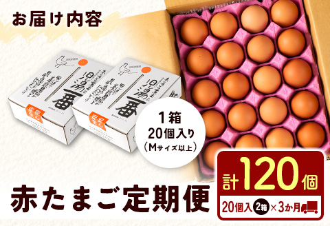 ＜児湯養鶏自慢の卵＞ネッカリッチ赤たまご「児湯一番」 計120個 （20個入×2箱）×3か月定期便【C55】