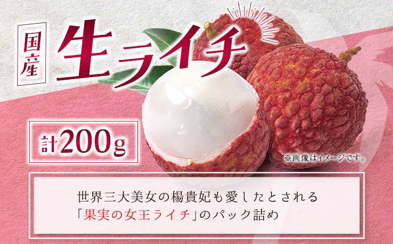 完熟マンゴー＆生ライチ トロピカルセット ≪2026年産≫ 宮崎県産 数量限定 人気 フルーツ 果物 詰め合わせ 化粧箱入り【C74-26】