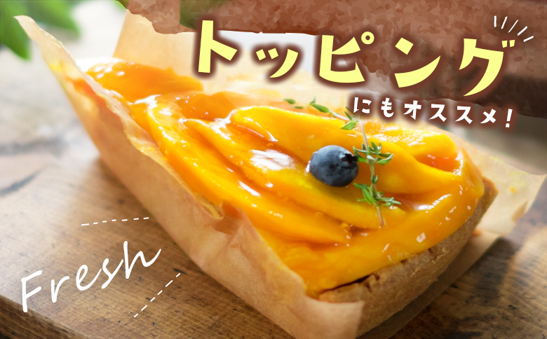 数量限定！＜好き好き定期便＞全4回 完熟マンゴーコース ≪2026年4月下旬配送開始≫ 宮崎県産 フルーツ くだもの 国産【E113-26】