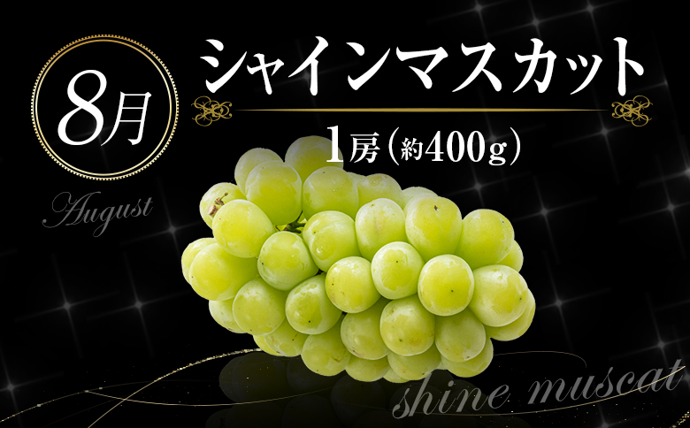 ［計6回］南国宮崎 旬のフルーツ定期便 偶数月コース【E144-24】