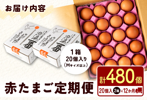 ＜配送開始月が選べる!!＞児湯養鶏自慢の卵 ネッカリッチ赤たまご「児湯一番」 計480個 （20個入×2箱）×12か月定期便 ※2026年4月配送開始【E19-2604】 2026年4月配送開始