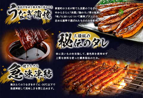 【1月5日受付終了】＜数量限定＞特大 うなぎ 定期便 国産 鰻 蒲焼 4尾セット 全3回 隔月定期便（2026年1月 3月 5月お届け）1尾約200g!! 合計2.4kg以上 魚介 贈答品 ギフト ウナギ 期間限定 鰻楽【E193-800-010305】