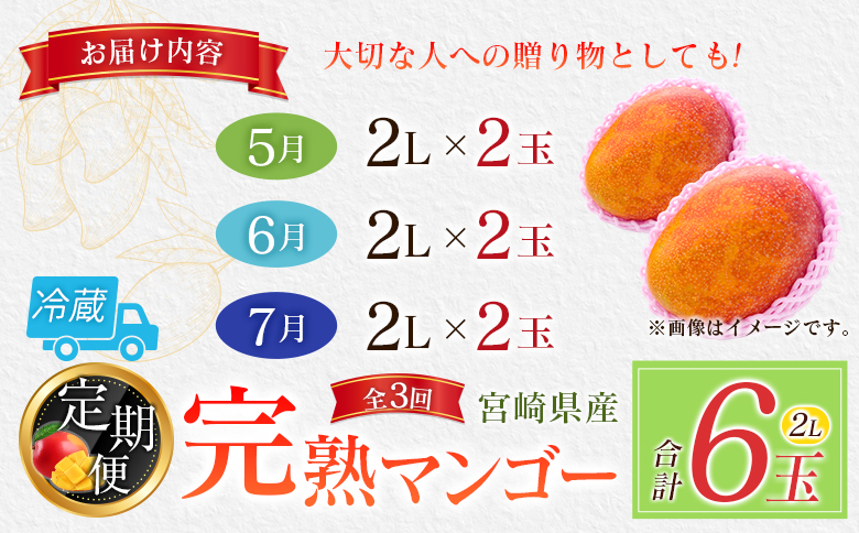 宮崎特産「完熟マンゴー2L×2玉」お届け定期便（全3回）計6玉 特産 国産 果物 フルーツ 旬 産地直送【E219-26】