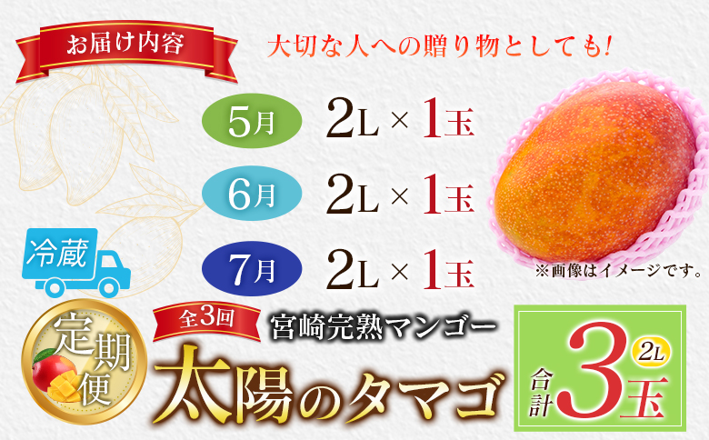 宮崎特産「太陽のタマゴ2L×1玉」お届け定期便（全3回）計3玉 特産 国産 果物 フルーツ 旬 産地直送【E222-26】