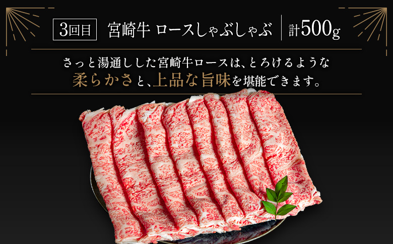 豪華宮崎牛 ロース 3か月定期便 牛肉 焼肉 ステーキ BBQ 国産 宮崎県産【E225-2510】