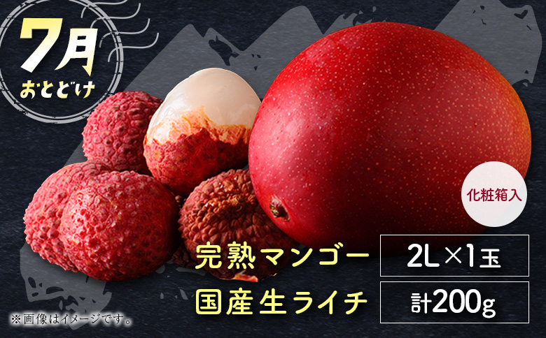 サマーフルーツ定期便 全2回 ＜メロン・マンゴー＆ライチ＞※2026年6月開始 旬 果物【E242】