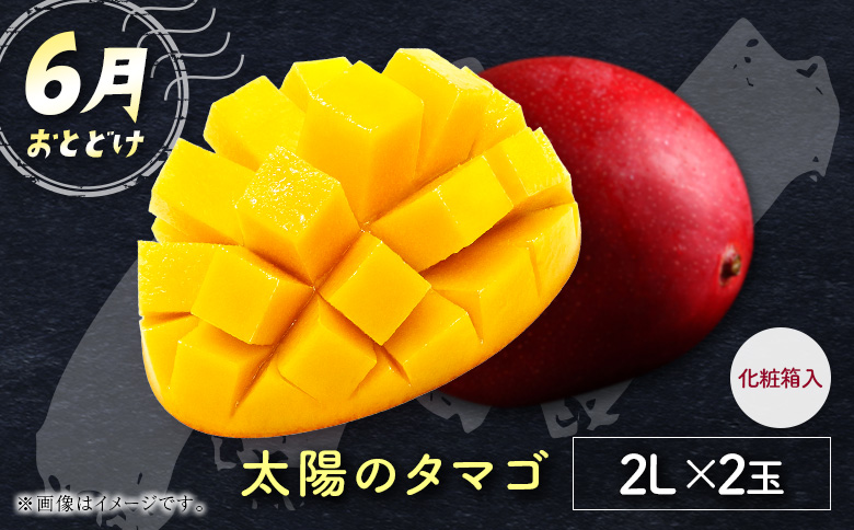 サマーフルーツ定期便 全3回＜メロン・マンゴー・ライチ＞ ※2026年5月開始 旬 果物【E244】