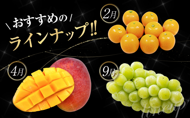 旬のフルーツ定期便 12か月コース【F113-25】