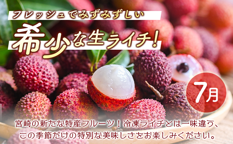 ＜数量限定＞新富町 特産フルーツ 詰め合わせ 定期便 7か月コース くだもの マンゴー ライチ メロン 柑橘 国産【F150-26】