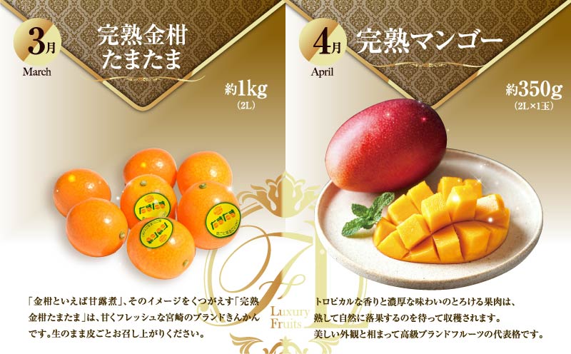 旬のくだもの定期便 「厳選コース」 全12回 マンゴー いちご マスカット 国産 宮崎【F153】