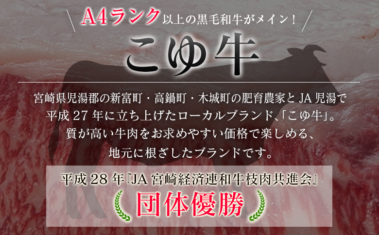 ＜年末年始限定!!＞プレミアム 黒毛和牛 こゆ牛 お肉定期便 ［全6回］ 連続（1月～6月） 国産 牛肉 しゃぶしゃぶ すき焼き 焼肉 堪能 カルビ ステーキ ロース バラ モモ スライス 宮崎【F159】