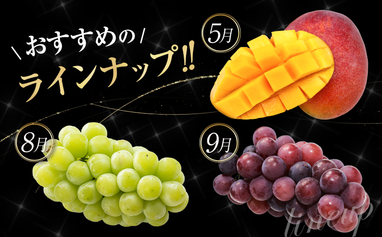 南国宮崎 〈特選〉旬のくだもの定期便 12ヵ月コース【F84-25】