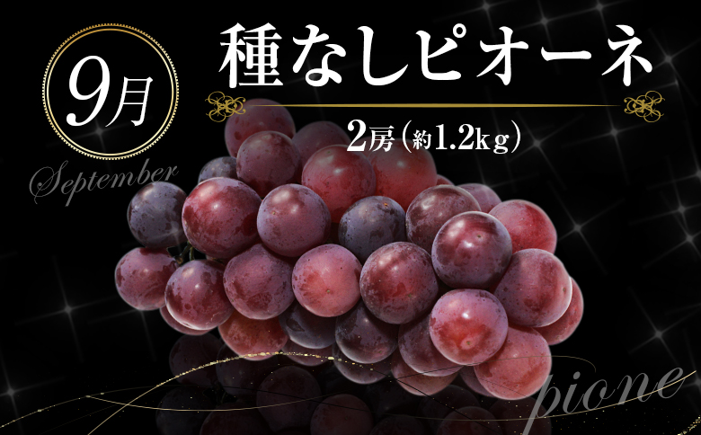 ［計6回］南国宮崎 〈特選〉旬のフルーツ定期便 奇数月コース【F85】