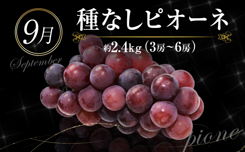 南国宮崎 旬の《至高》フルーツ定期便 奇数月コース（計6回）【F95-24】