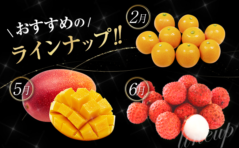 旬のロイヤルフルーツ定期便 12ヵ月コース【G28-25】