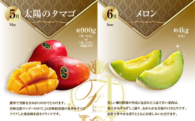 旬のくだもの定期便 「特選コース」 全12回 マンゴー いちご マスカット 国産 宮崎【G52】
