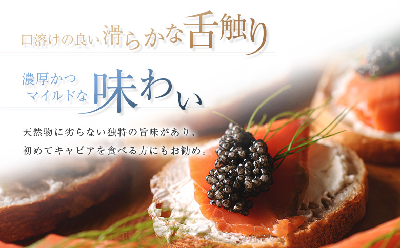 ［12か月定期便］宮崎キャビア1983 バエリ プレミアム 20g入り ×計12回 贈答品 高級 魚卵 国産【G57】