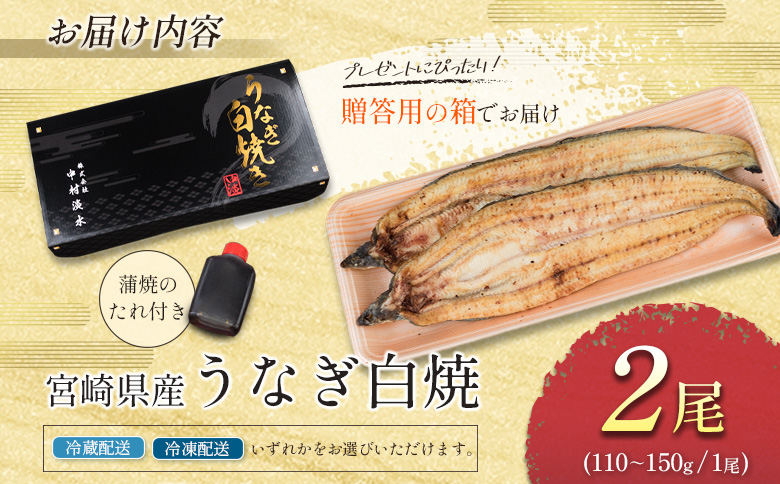 お歳暮対応「玄人の一品」うなぎ 白焼き ギフト 2尾（110～150g/1尾あたり) 宮崎県産鰻 蒲焼きタレ付（50ml×1本）配送日指定可 国産 有頭 熨斗 贈答品【N36】 白焼き 2尾（110～150g/1尾あたり)