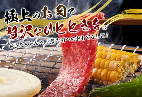 宮崎和牛『齋藤牛』特選焼肉盛合せセット 合計1kg【D116-60】