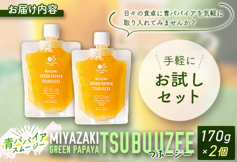［お試し版］青パパイアスムージー 2個入 MIYAZAKI GREEN PAPAYA TSUBUUZEE【A247】