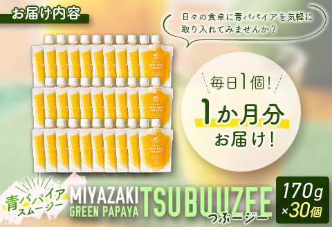 青パパイアスムージー 30個入 MIYAZAKI GREEN PAPAYA TSUBUUZEE ～青パパイアの粒々とフレッシュな柑橘の味わい～【E171】