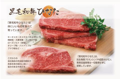 ブランド牛「黒毛和牛ひなた」肩ローススライス 500g【C203】