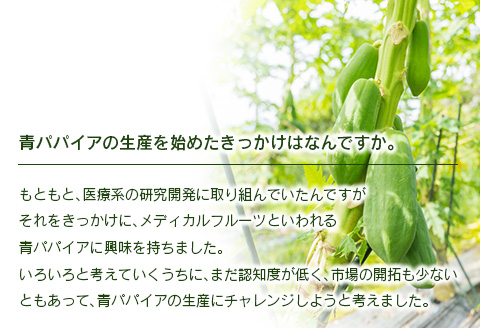 ～パパイア王子謹製～青パパイアマイルドグリーンカレー【C323】