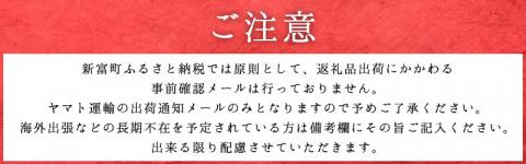 宮崎牛 ロースステーキ 合計500g（250g×2P） 国産 肉 牛肉 ご飯 おかず BBQ ディナー お祝い 【C270-30】